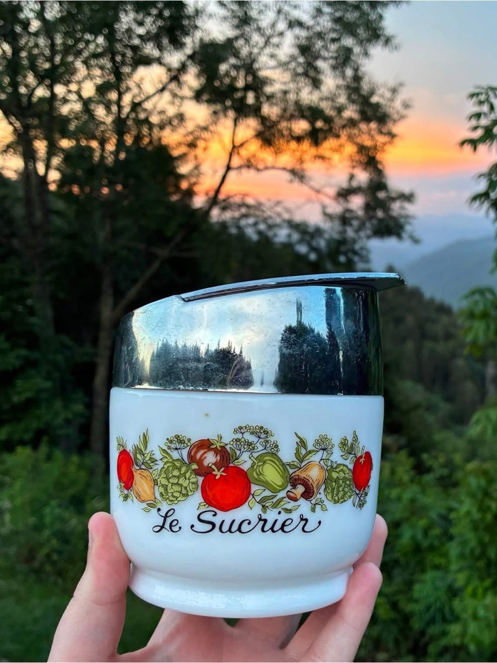 Vintage Gemco Spice of Life Le Sucrier Sugar Container